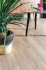 Кварцвиниловая плитка Alpine Floor ECO 6-6 Секвойя (Sequoia) (SPC или LVT) Калифорния
